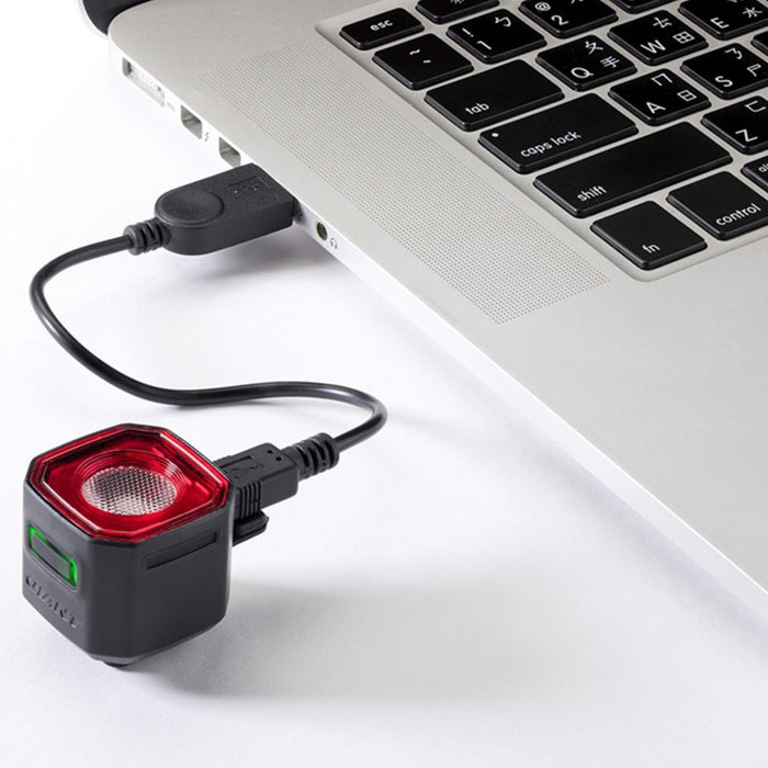 GIANT RECON TL 100 rear light - GIANT - Evelostore