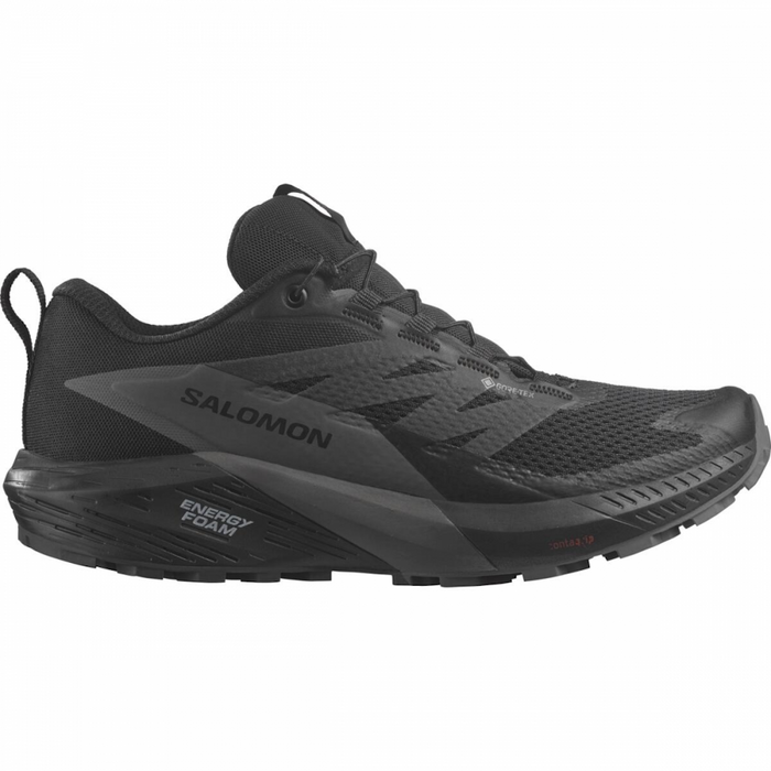 SALOMON SENSE RIDE 5 GTX trail running shoes - black/dark grey