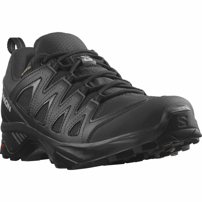 SALOMON X BRAZE GTX hiking footwear - black