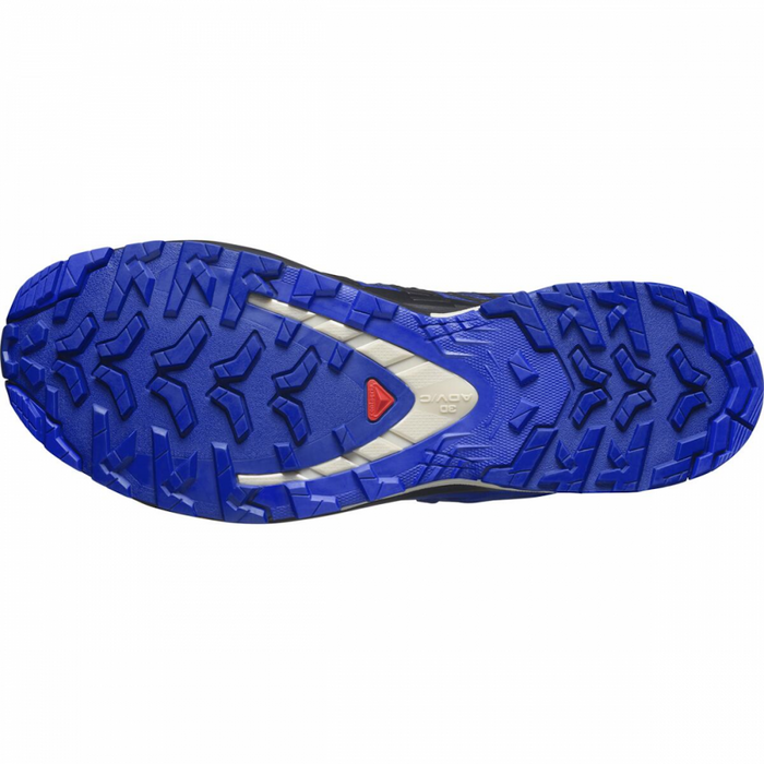 SALOMON XA PRO 3D V9 GTX trail running shoes - blue/black
