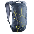 SALOMON XT 10 backpack - spellbound/grisaille/bright chartre