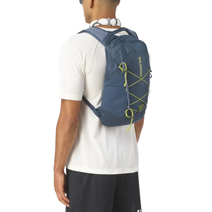 SALOMON XT 10 backpack - spellbound/grisaille/bright chartre