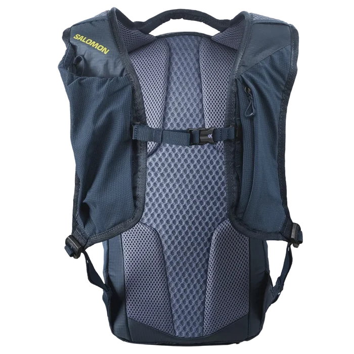 SALOMON XT 10 backpack - spellbound/grisaille/bright chartre