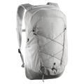 SALOMON XT 25 backpack - grey