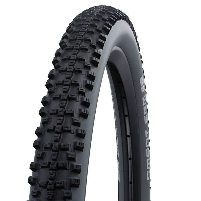 SCHWALBE SMART SAM 29 x 2.25 tire - Performance | K-Guard - black/grey