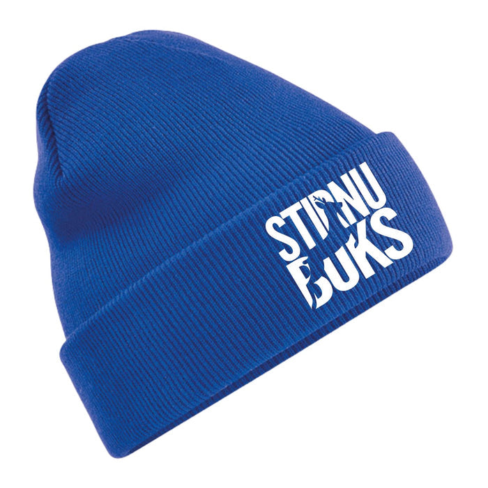 STIRNU BUKS cuff knit beanie – blue - ELEVEN SPORTSWEAR - Evelostore
