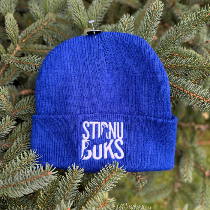 STIRNU BUKS cuff knit beanie – blue - ELEVEN SPORTSWEAR - Evelostore