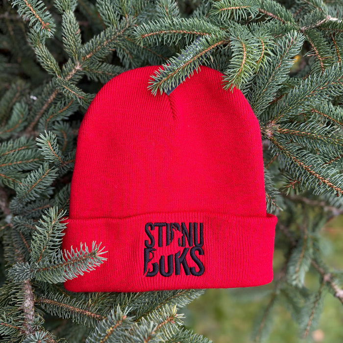 STIRNU BUKS cuff knit beanie – red - ELEVEN SPORTSWEAR - Evelostore