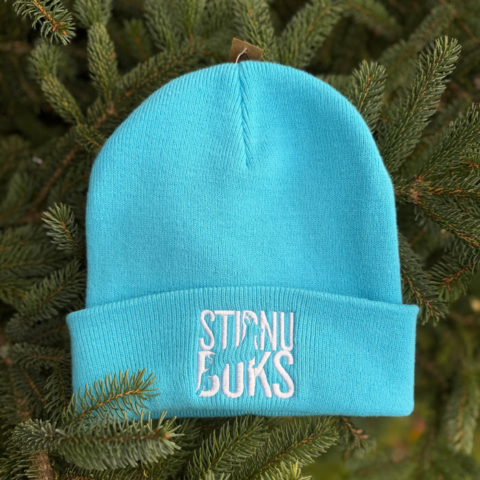 STIRNU BUKS cuff knit beanie – surf blue - ELEVEN SPORTSWEAR - Evelostore