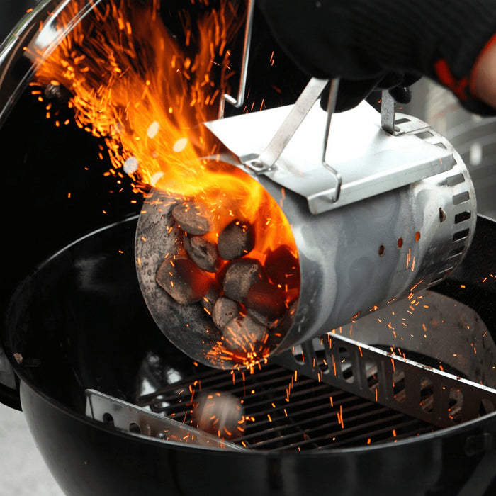 WEBER Briquettes 8kg, 17591 - WEBER - Evelostore