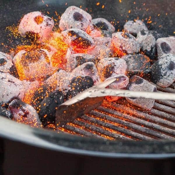 WEBER charcoal rake, 7649 - WEBER - Evelostore