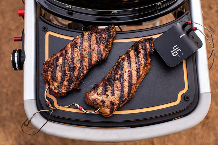 WEBER Connect Smart Grilling Hub, 3202 - WEBER - Evelostore
