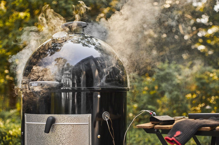 WEBER Connect Smart Grilling Hub, 3202 - WEBER - Evelostore