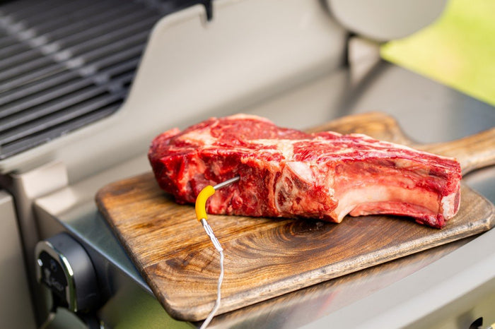 WEBER iGrill Meat Probe, 7211 - WEBER - Evelostore